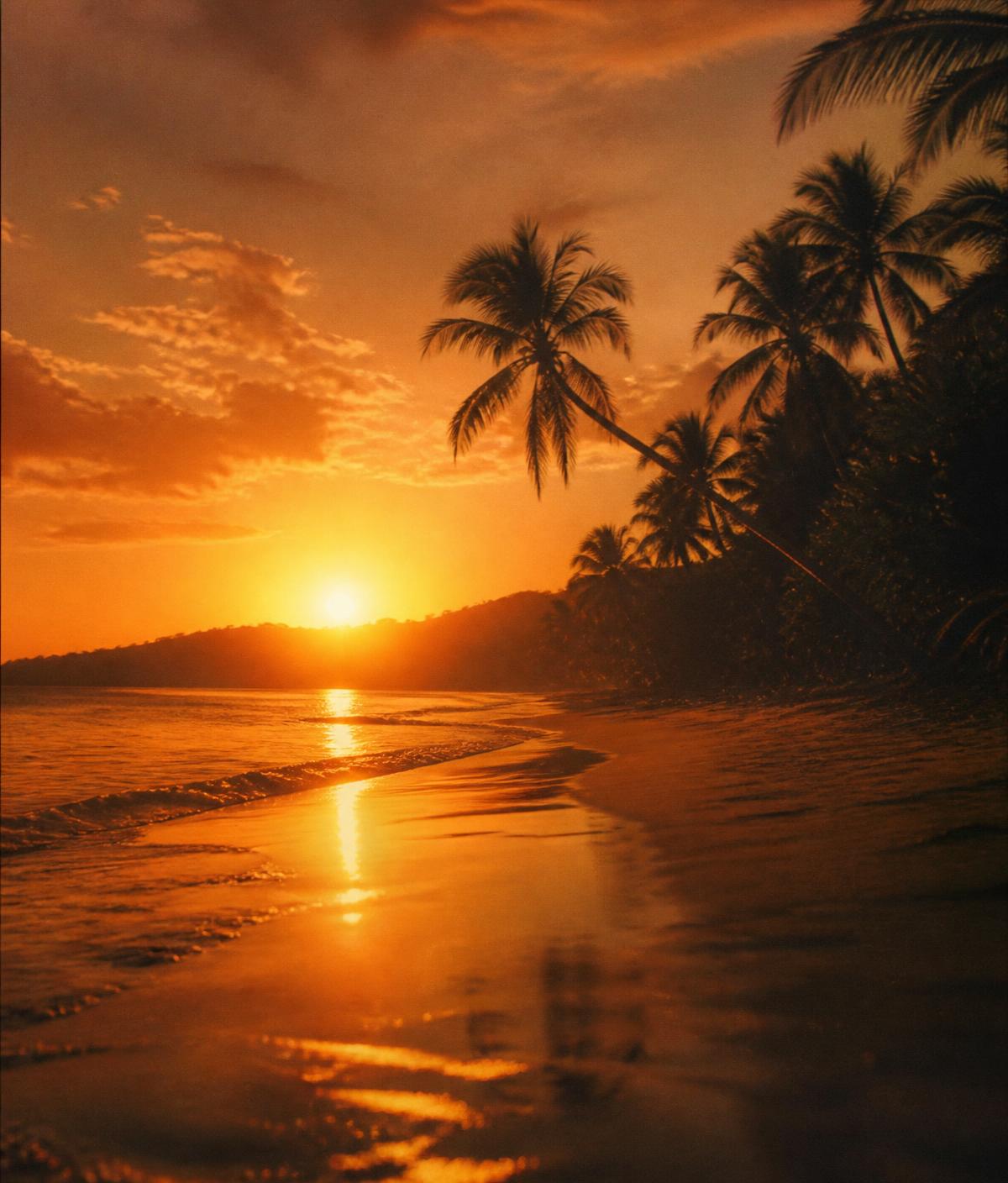 Sunset over the ocean with palm silhouettes in Nosara